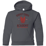 Sweatshirts Charcoal / YS Survey Corps Academy Youth Hoodie