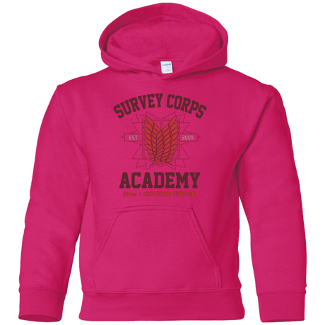 Sweatshirts Heliconia / YS Survey Corps Academy Youth Hoodie