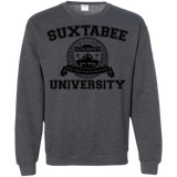 Sweatshirts Dark Heather / S SUX2BU Crewneck Sweatshirt