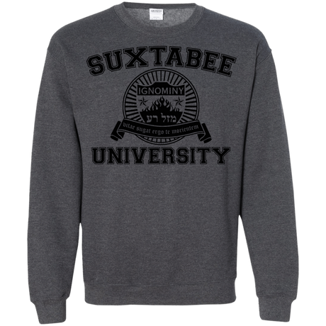 Sweatshirts Dark Heather / S SUX2BU Crewneck Sweatshirt