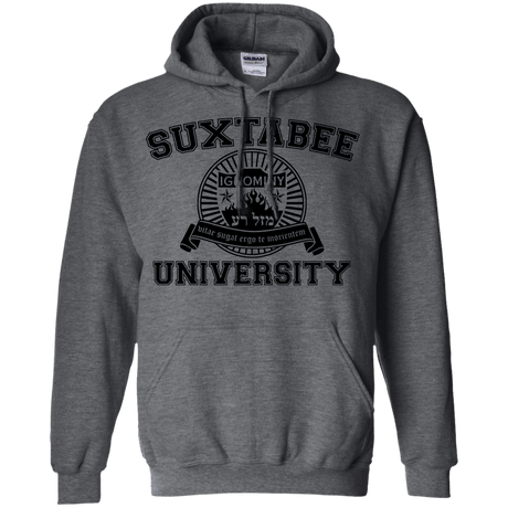 Sweatshirts Dark Heather / S SUX2BU Pullover Hoodie