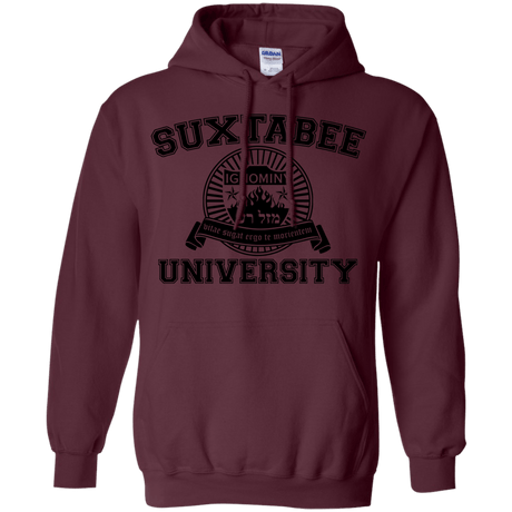 Sweatshirts Maroon / S SUX2BU Pullover Hoodie