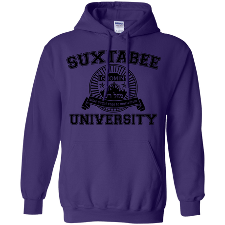 Sweatshirts Purple / S SUX2BU Pullover Hoodie