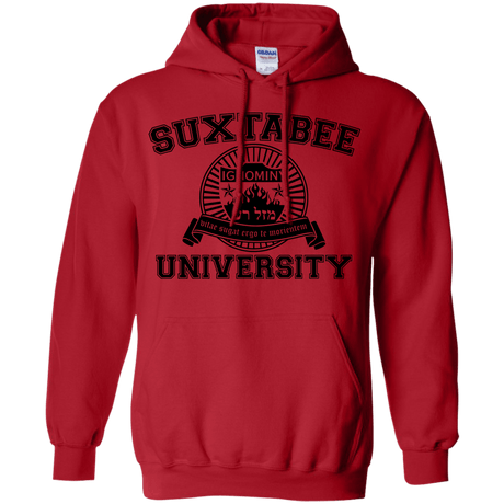 Sweatshirts Red / S SUX2BU Pullover Hoodie