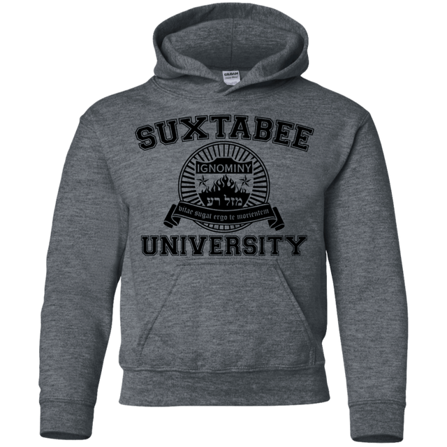 Sweatshirts Dark Heather / YS SUX2BU Youth Hoodie
