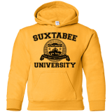 Sweatshirts Gold / YS SUX2BU Youth Hoodie