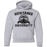 Sweatshirts Sport Grey / YS SUX2BU Youth Hoodie