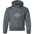 Sweatshirts Dark Heather / YS SWORD IN THE DARKNESS Youth Hoodie
