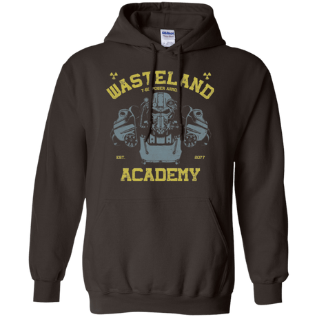 Sweatshirts Dark Chocolate / Small T-60 Series Pullover Hoodie