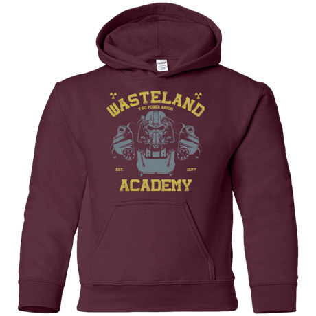 Sweatshirts Maroon / YS T-60 Series Youth Hoodie