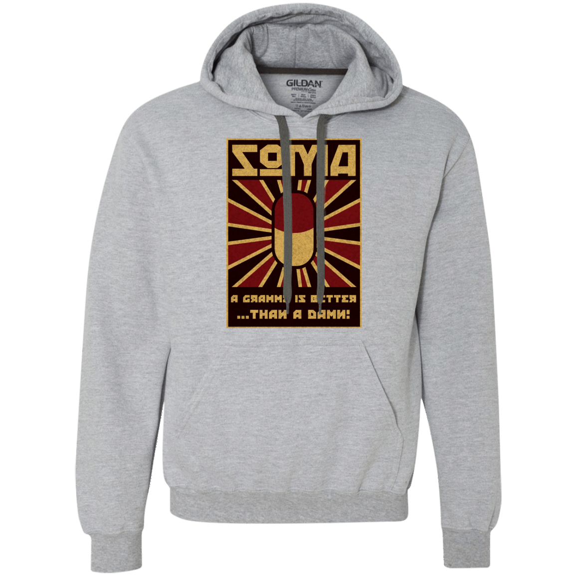 Sweatshirts Sport Grey / Small Take Soma Premium Fleece Hoodie