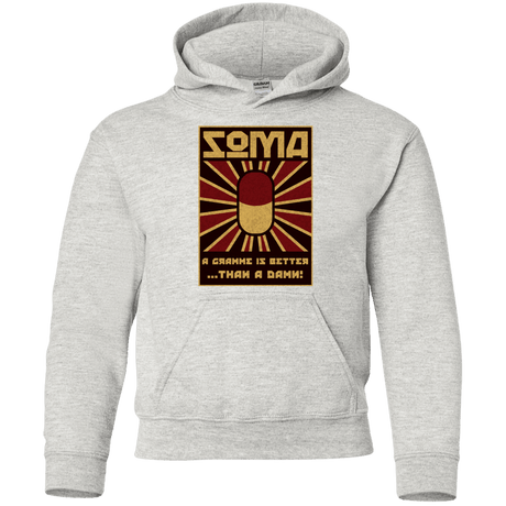Sweatshirts Ash / YS Take Soma Youth Hoodie