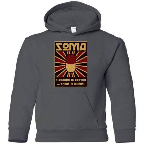 Sweatshirts Charcoal / YS Take Soma Youth Hoodie
