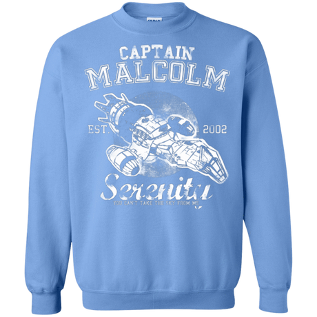 Sweatshirts Carolina Blue / Small Take to the Sky Crewneck Sweatshirt