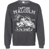 Sweatshirts Dark Heather / Small Take to the Sky Crewneck Sweatshirt