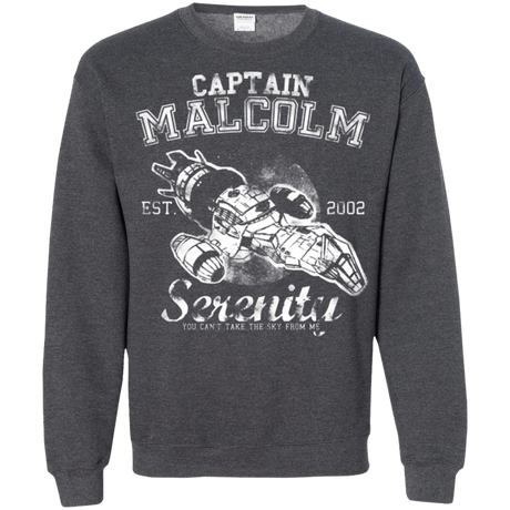 Sweatshirts Dark Heather / Small Take to the Sky Crewneck Sweatshirt