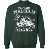 Sweatshirts Forest Green / Small Take to the Sky Crewneck Sweatshirt