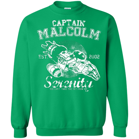 Sweatshirts Irish Green / Small Take to the Sky Crewneck Sweatshirt