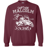 Sweatshirts Maroon / Small Take to the Sky Crewneck Sweatshirt