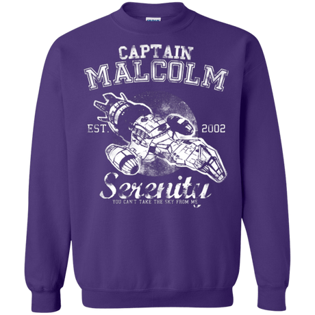 Sweatshirts Purple / Small Take to the Sky Crewneck Sweatshirt