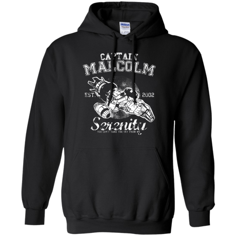 Sweatshirts Black / Small Take to the Sky Pullover Hoodie