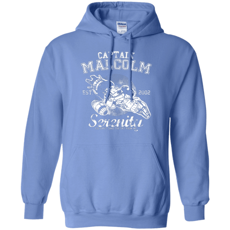 Sweatshirts Carolina Blue / Small Take to the Sky Pullover Hoodie