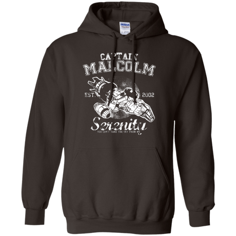 Sweatshirts Dark Chocolate / Small Take to the Sky Pullover Hoodie