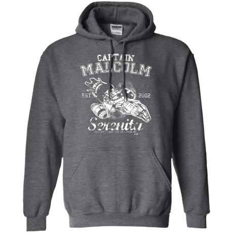 Sweatshirts Dark Heather / Small Take to the Sky Pullover Hoodie