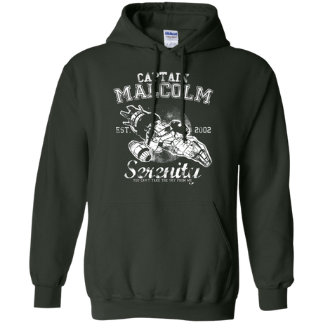 Sweatshirts Forest Green / Small Take to the Sky Pullover Hoodie