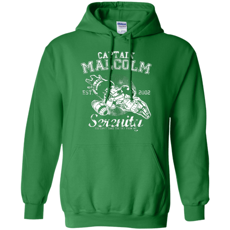 Sweatshirts Irish Green / Small Take to the Sky Pullover Hoodie