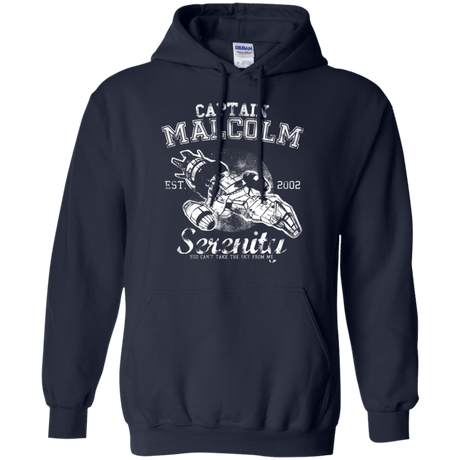 Sweatshirts Navy / Small Take to the Sky Pullover Hoodie