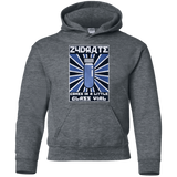 Sweatshirts Dark Heather / YS Take Zydrate Youth Hoodie