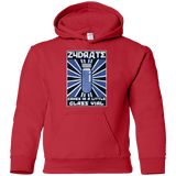 Sweatshirts Red / YS Take Zydrate Youth Hoodie