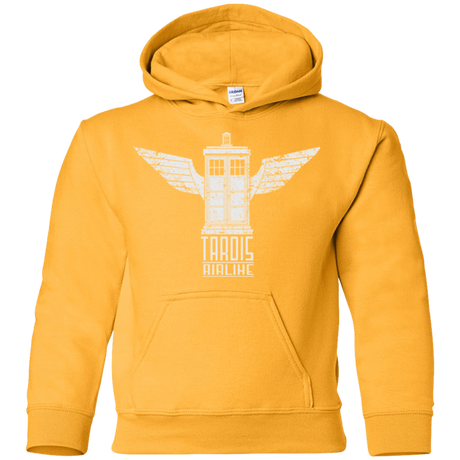 Sweatshirts Gold / YS Tardis Airline Youth Hoodie