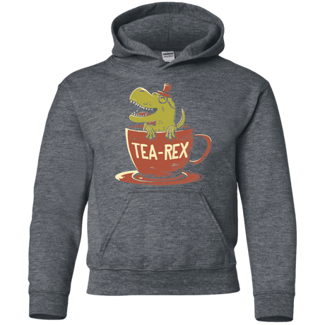 Sweatshirts Dark Heather / YS Tea-Rex Youth Hoodie