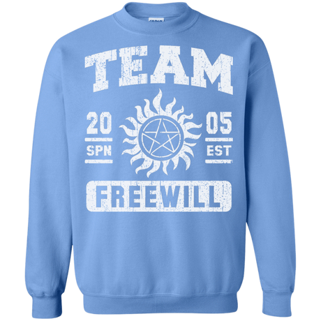 Sweatshirts Carolina Blue / S Team Freewill Crewneck Sweatshirt