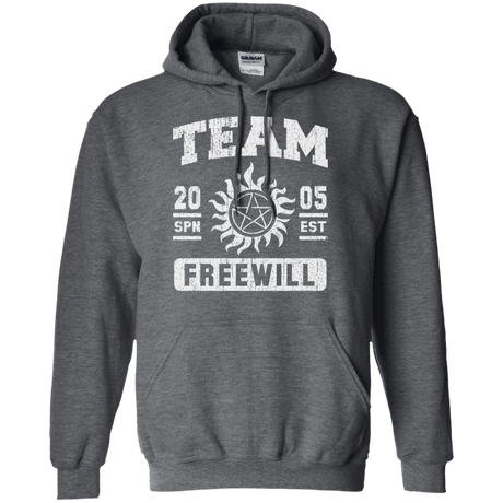 Sweatshirts Dark Heather / S Team Freewill Pullover Hoodie
