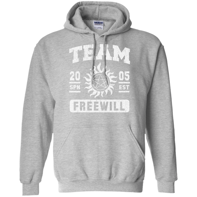 Sweatshirts Sport Grey / S Team Freewill Pullover Hoodie