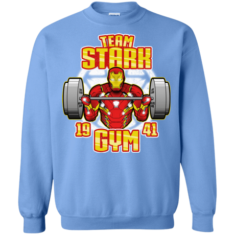 Sweatshirts Carolina Blue / Small Team Stark Gym Crewneck Sweatshirt