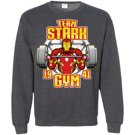 Sweatshirts Dark Heather / Small Team Stark Gym Crewneck Sweatshirt