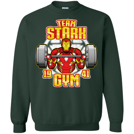 Sweatshirts Forest Green / Small Team Stark Gym Crewneck Sweatshirt