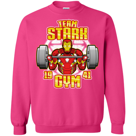 Sweatshirts Heliconia / Small Team Stark Gym Crewneck Sweatshirt
