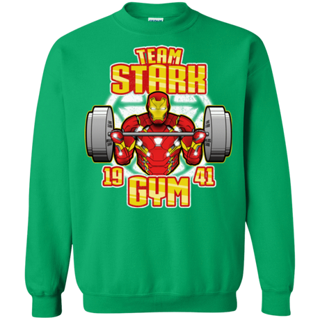 Sweatshirts Irish Green / Small Team Stark Gym Crewneck Sweatshirt