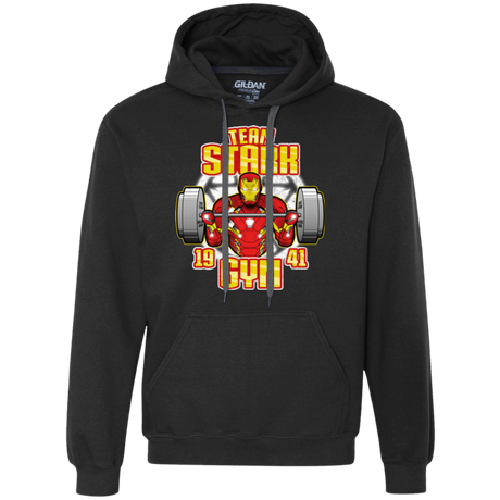 Sweatshirts Black / Small Team Stark Gym Premium Fleece Hoodie