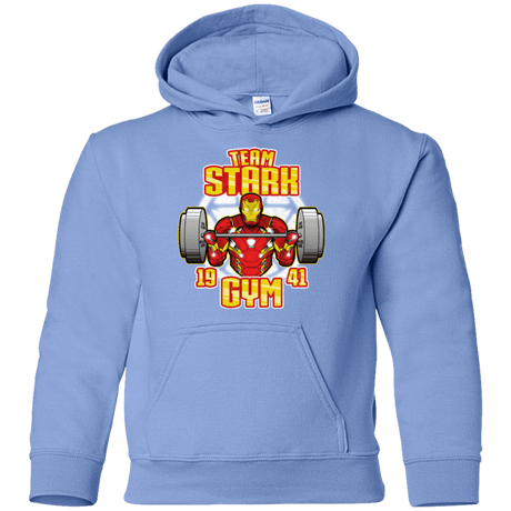 Sweatshirts Carolina Blue / YS Team Stark Gym Youth Hoodie
