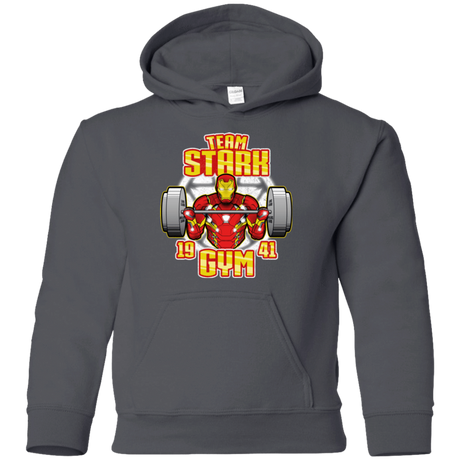 Sweatshirts Charcoal / YS Team Stark Gym Youth Hoodie