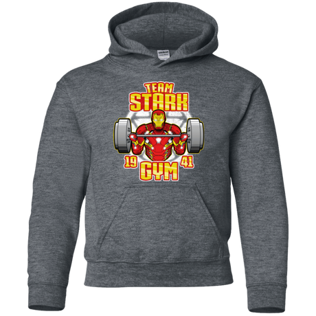 Sweatshirts Dark Heather / YS Team Stark Gym Youth Hoodie