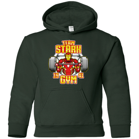 Sweatshirts Forest Green / YS Team Stark Gym Youth Hoodie