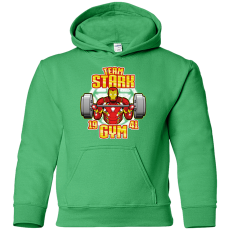 Sweatshirts Irish Green / YS Team Stark Gym Youth Hoodie