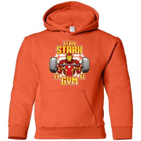 Sweatshirts Orange / YS Team Stark Gym Youth Hoodie